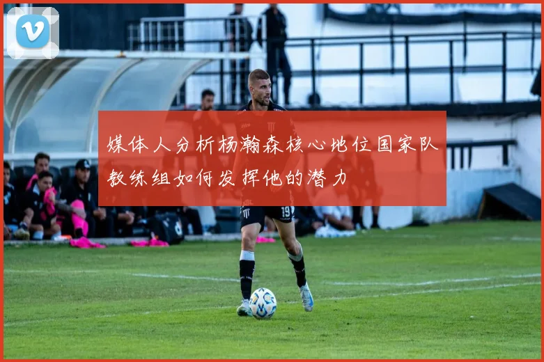 媒体人分析杨瀚森核心地位国家队教练组如何发挥他的潜力